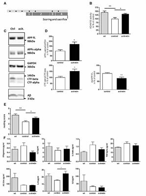 The Synthetic Retinoid Acitretin Increases IL-6 in the Central Nervous System of Alzheimer Disease Model Mice and Human Patients